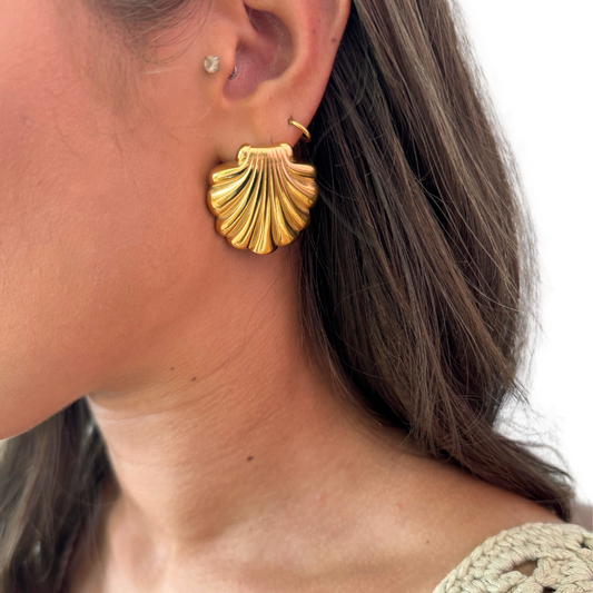 Gold Shell Earring